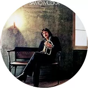 Petar Ugrin - Musician