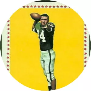 Pete Liske - American football player