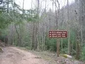 Pete's Branch Falls - 