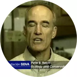Peter B. Reich