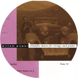 Peter Beijersbergen van Henegouwen Musician