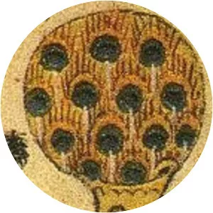 Peter II, Count of Alençon