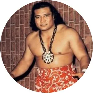 Peter Maivia Jr.