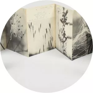 Peter Merom - Photographer