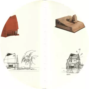 Peter Salter photograph