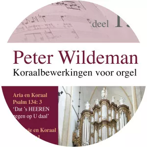 Peter Wildeman - Musical artist