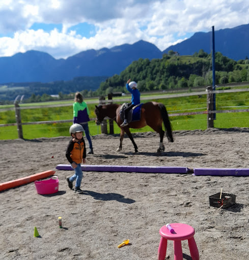 Petererhof Reiten mit Herz und Seele - Horse riding school in Worgl, Austria