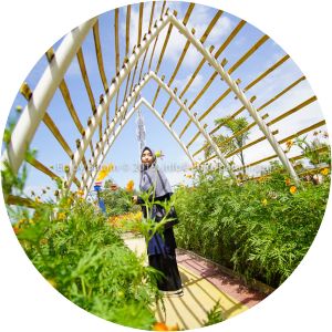 petong island agro piknik marina