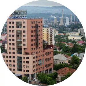 Petre Andrei University of Iași