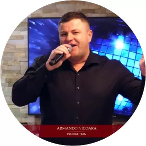 Petrica Brundeanu - Musical artist