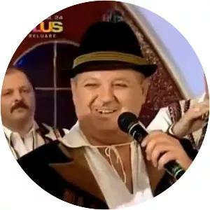 Petrică Moise - Musical artist