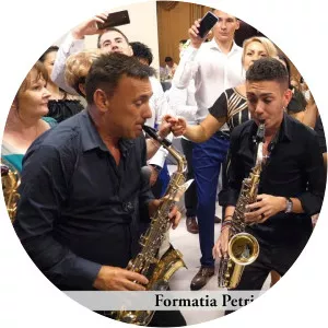 Petrica Nicoara, Armin Nicoara - Musical artist