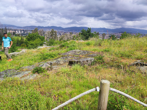 Petroglifo Cervo das Millaradas - Historical landmark in Spain