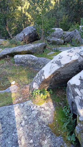 Petroglifo do Carballoso - Historical landmark in Spain