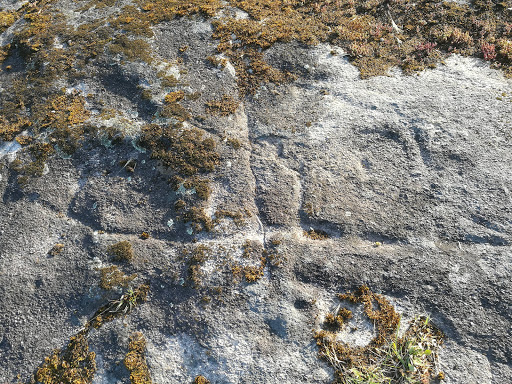 Petroglifo do Cristo da Laxe - Historical landmark in Spain