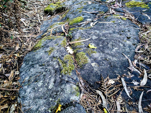Petroglifo do penedo do lugar de Matos - Historical landmark in Spain