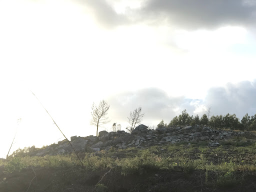 Petroglifo - Historical landmark in Spain