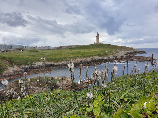 Petroglifos de Punta Herminia