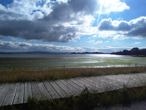 Petroglifos Laxe da Craba - Historical landmark in Spain