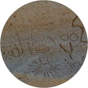 Petroglyph Point - National monument in California