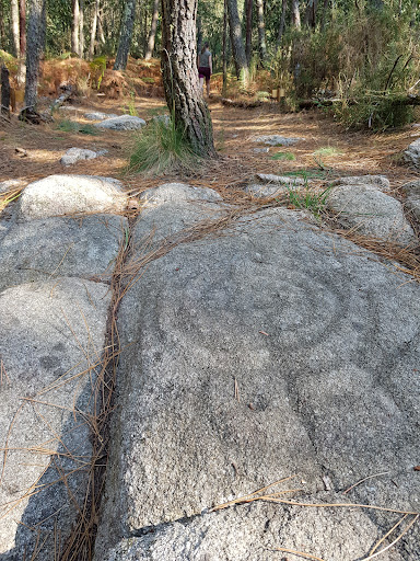 Petrogrifo Fontemoureira