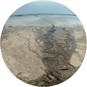 Petropolis: Aerial Perspectives on the Alberta Tar . . .