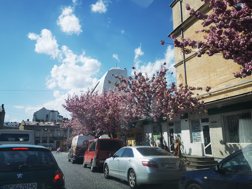 Petrushevycha Square