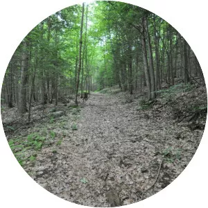 Petticoat Hill - Hill in Massachusetts