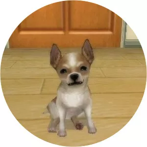 Petz - My Puppy Family