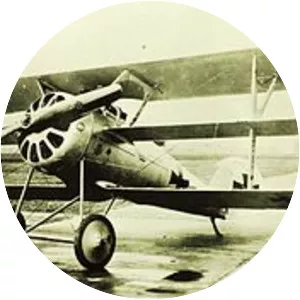 Pfalz Dr. I