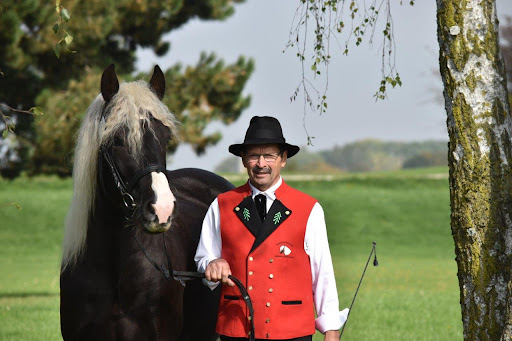 Pferdezucht Fischer - Horse breeder in Bad Wurzach, Germany