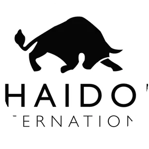 Phaidon International