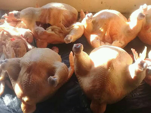 PHAKAMILE POULTRY FARMING 