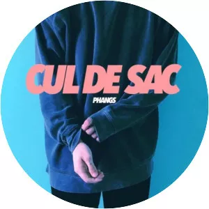 Phangs - Musical artist