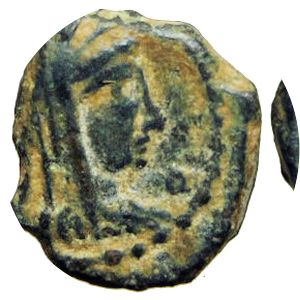 Phasaelis photograph