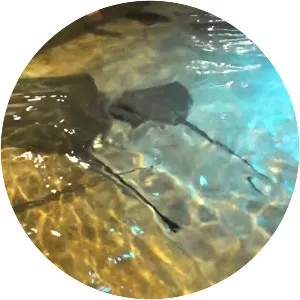 Philadelphia Aquarium - Aquarium in Philadelphia