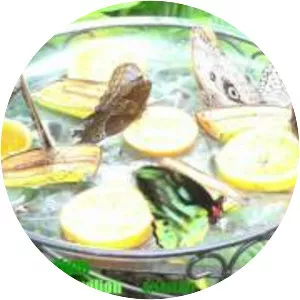 Philadelphia Insectarium and Butterfly Pavilion