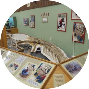 Phillips County Museum