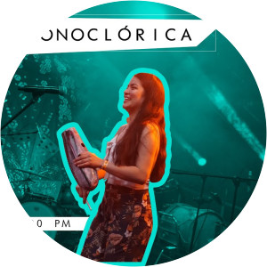 Phonoclórica - Musical artist