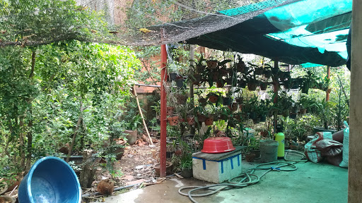 Phuoc Thien Buddhist Temple - Buddhist temple in Vietnam