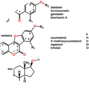 Phytoestrogen - Chemical compound