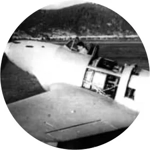 Piaggio P. 119