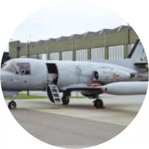 Piaggio PD. 808 - Aircraft model