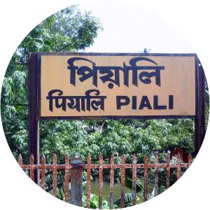 Piali railway station