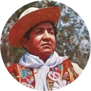 Picaflor de los Andes