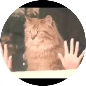 Picky Picky Ramona and Beezus