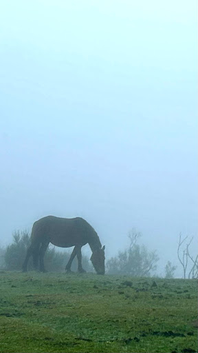 Pico Cueto Nozala  - Hiking area in Spain
