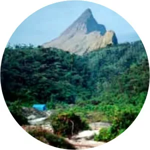 Pico da Neblina - Peak in Brazil