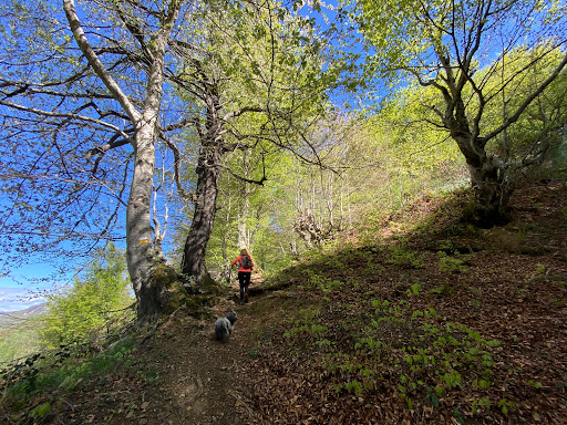 Pico de la Tabierna  - Hiking area in Spain