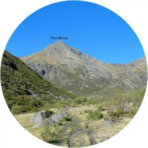 Pico Murcia